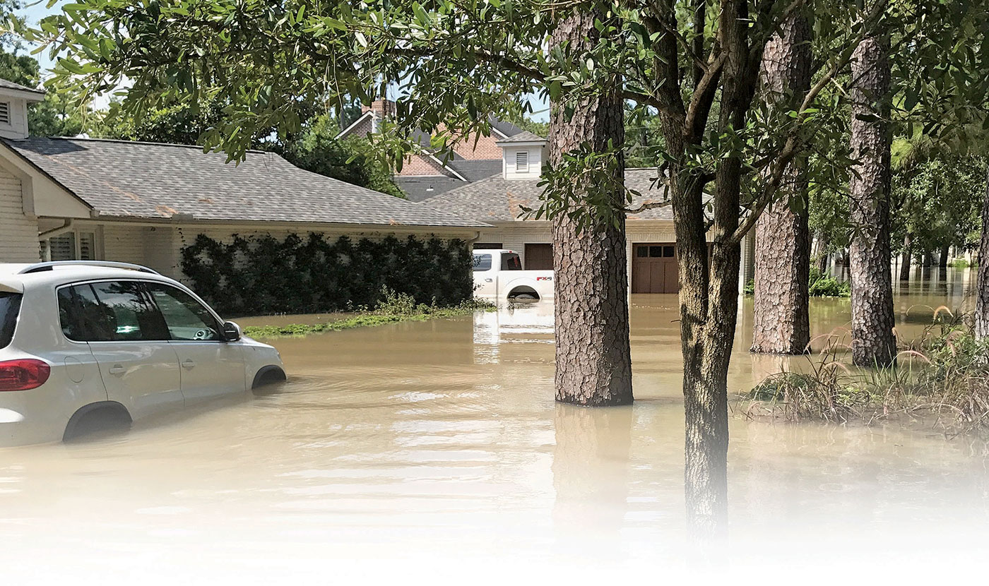 Car dealers see opportunity as Harvey roils used market Automotive News