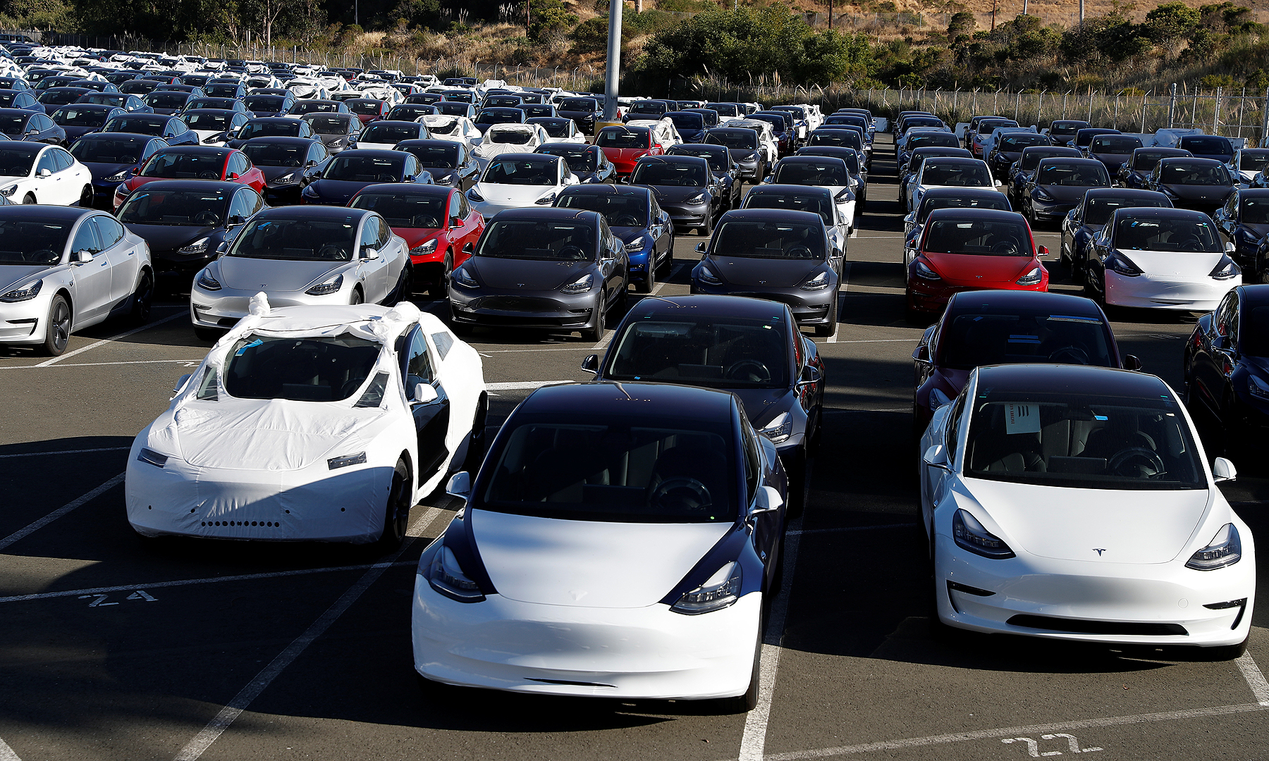Tesla shares plunge as price cuts cause profit concerns | Automotive News